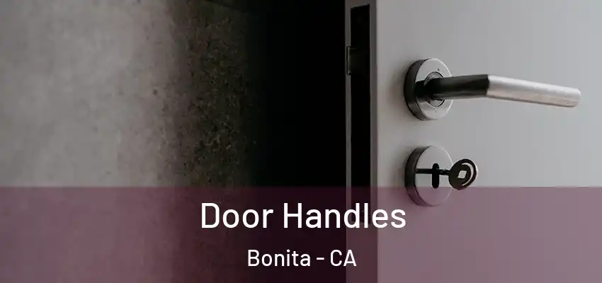  Door Handles Bonita - CA